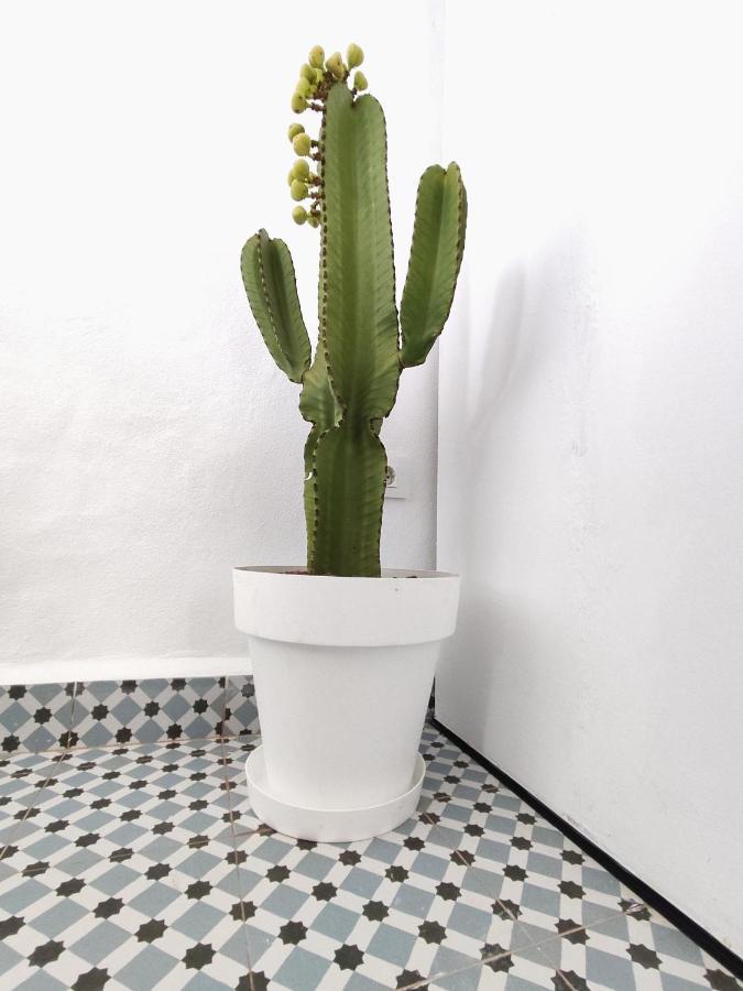 Ferienwohnung Jimaral Vejer de la Frontera Exterior foto